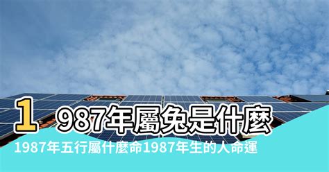 1987年五行屬什麼|1987年五行属什么？1987年出生是什么命